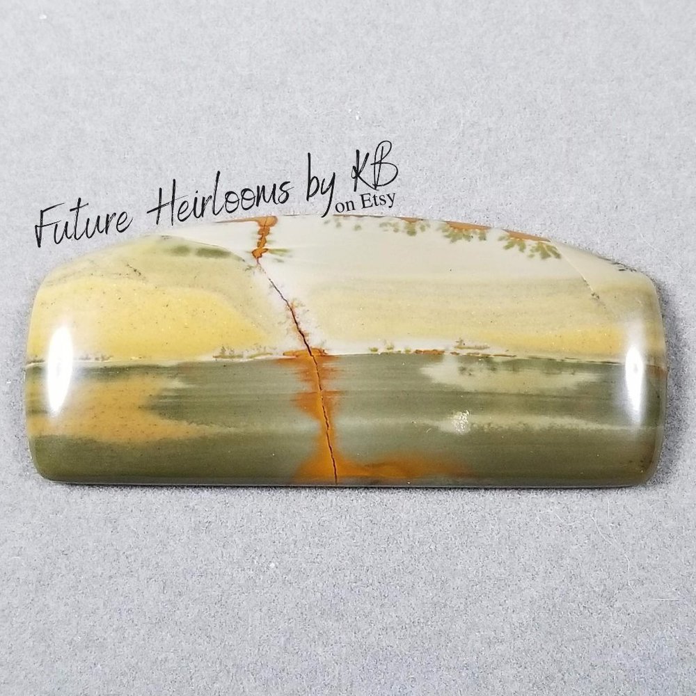 Large Wild Horse/Owyhee Jasper Cab * 53.39 x 23.04 x 4.38mm